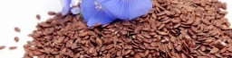 Flax Seeds